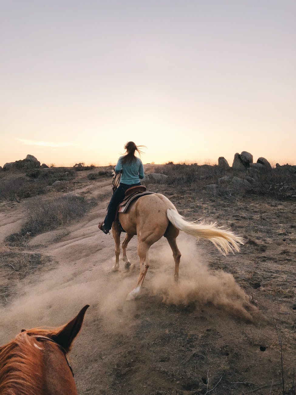 person riding a brown horse