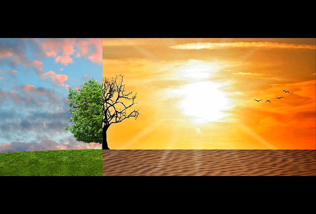 Image of climate change for essay on climate change