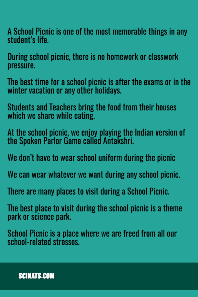 essay on school picnic
